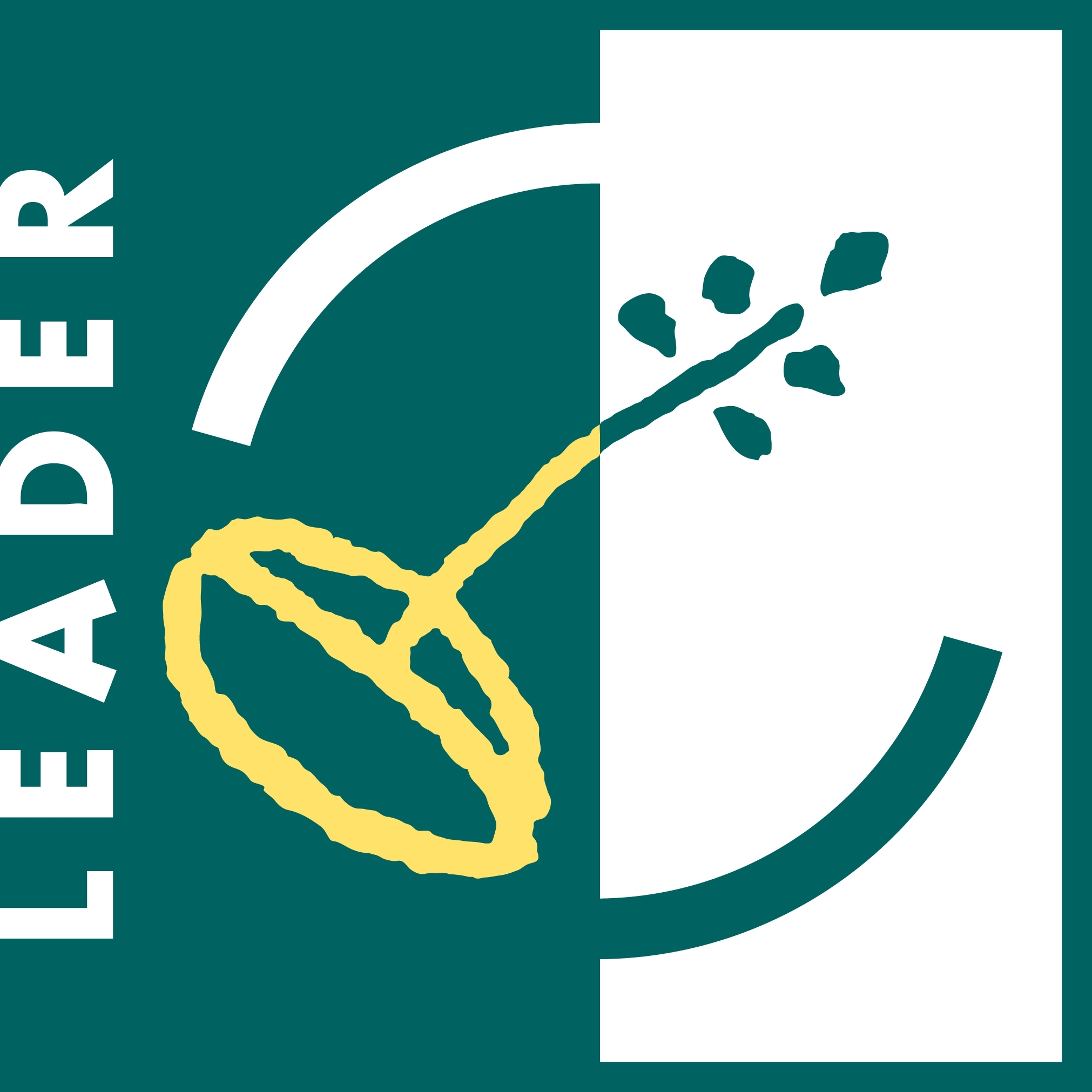 LEADER logo